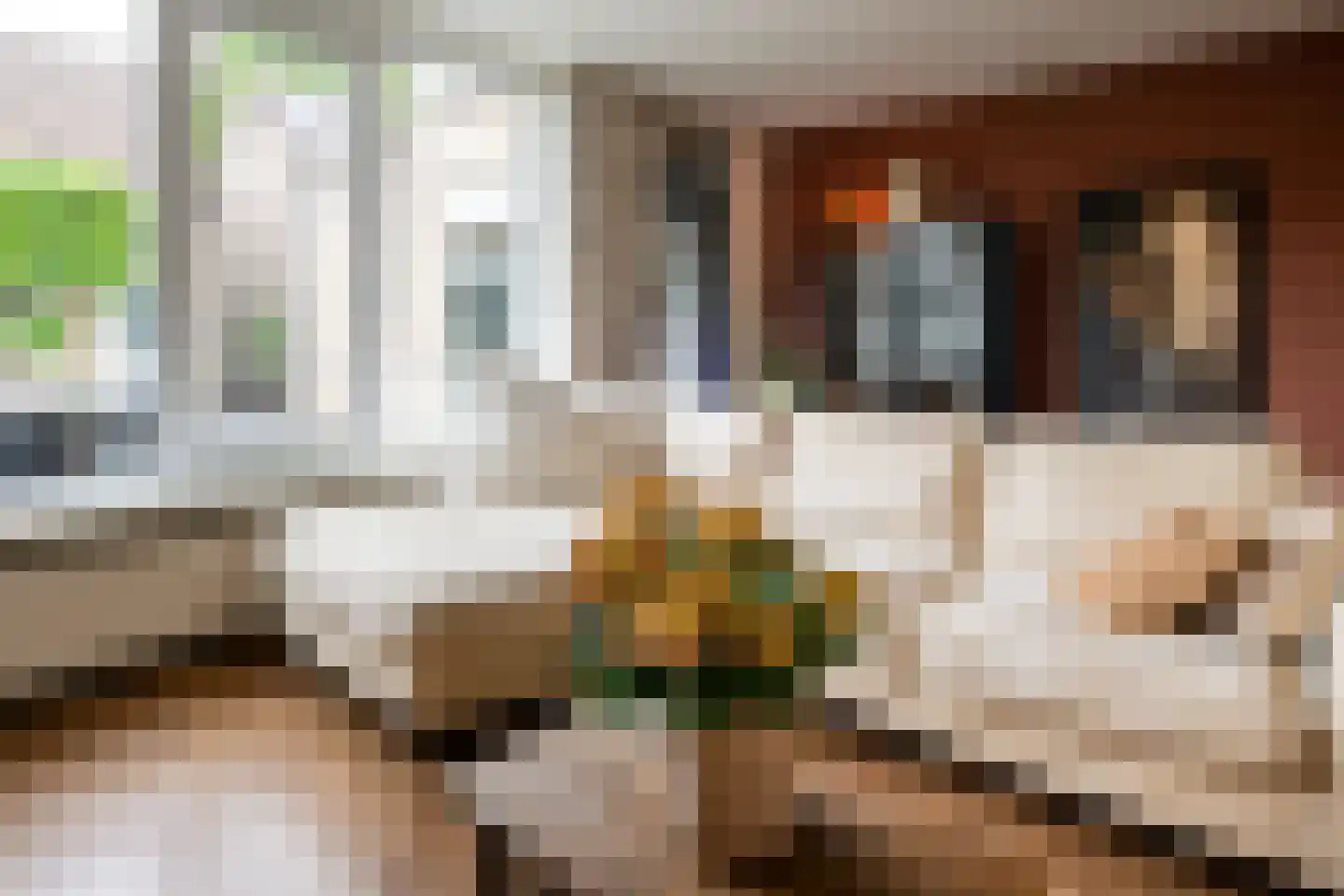 de Wilg 46 Hoogerheide thumbnail 9