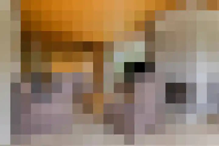 De Wilgen 10 Bedum thumbnail 10