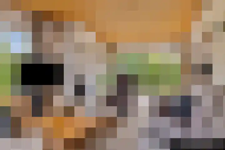 De Wilgen 10 Bedum thumbnail 11