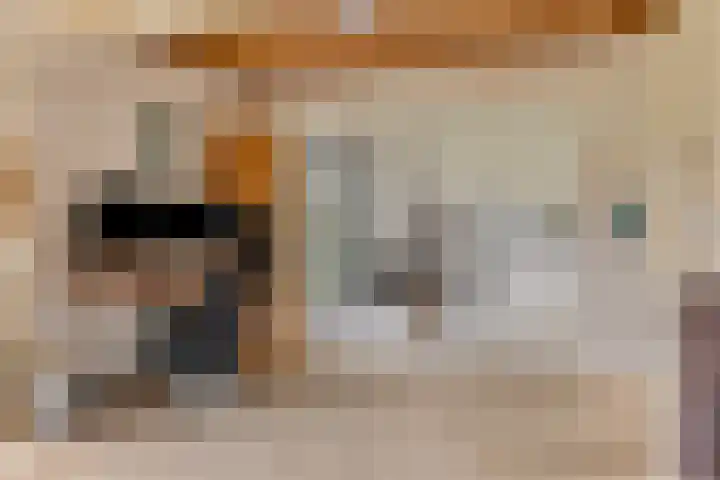 De Wilgen 10 Bedum thumbnail 14