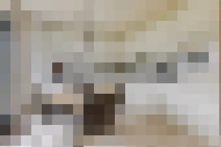 De Wilgen 10 Bedum thumbnail 15