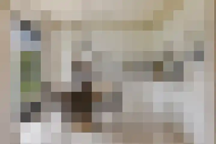 De Wilgen 10 Bedum thumbnail 16