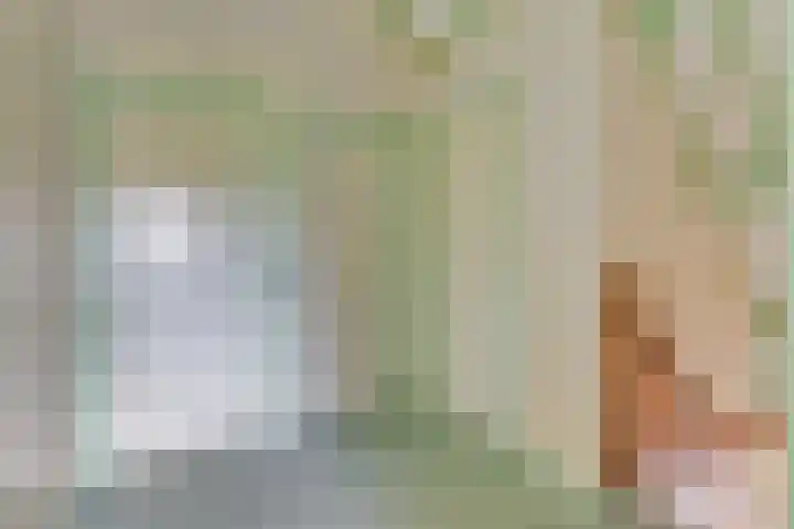 De Wilgen 10 Bedum thumbnail 20