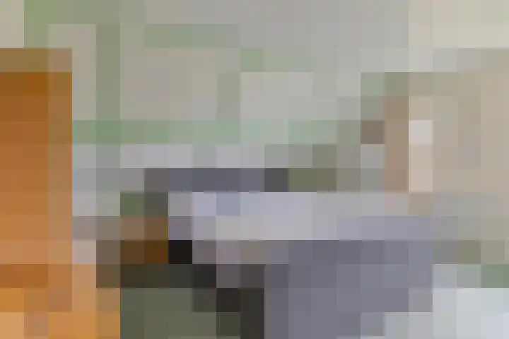 De Wilgen 10 Bedum thumbnail 21