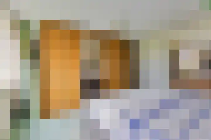 De Wilgen 10 Bedum thumbnail 22