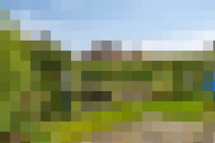 De Wilgen 10 Bedum thumbnail 30
