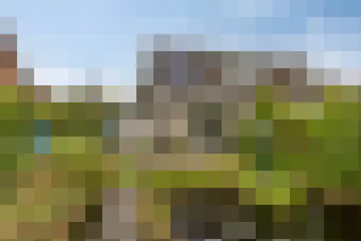 De Wilgen 10 Bedum thumbnail 31