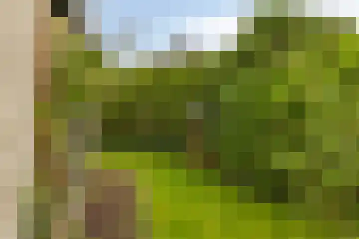De Wilgen 10 Bedum thumbnail 32