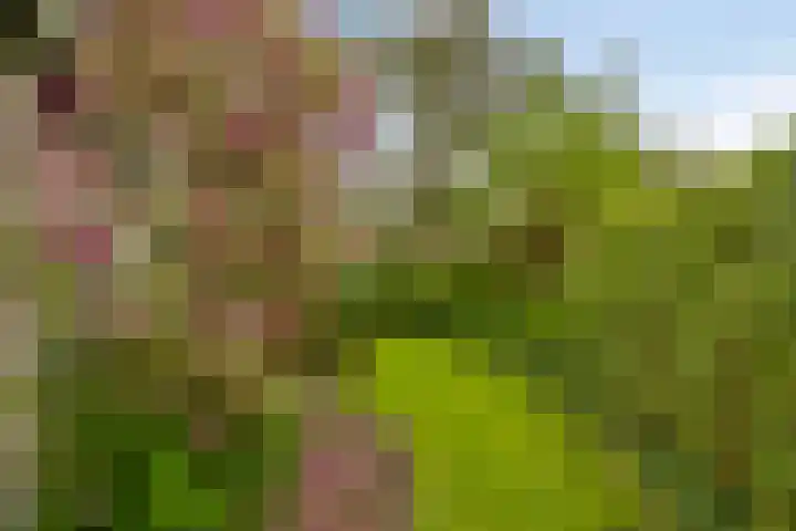 De Wilgen 10 Bedum thumbnail 33