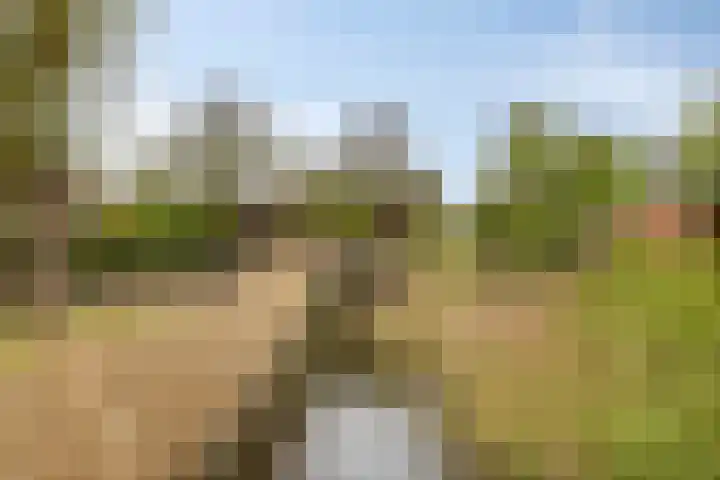 De Wilgen 10 Bedum thumbnail 34