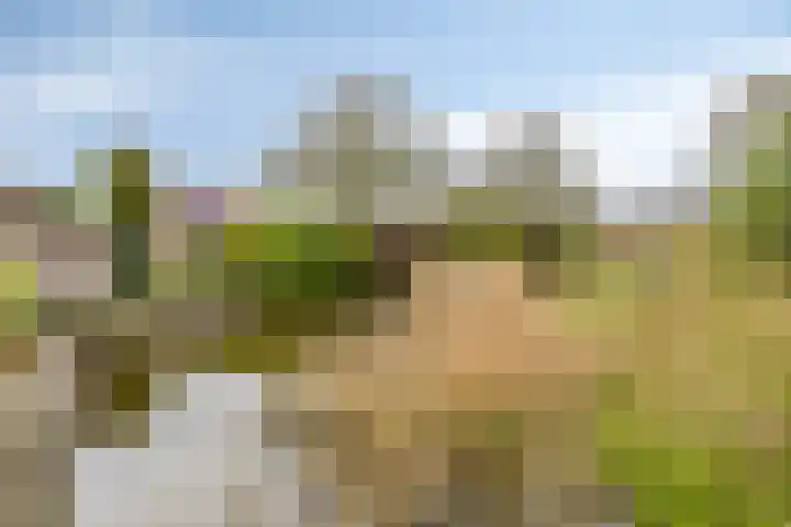 De Wilgen 10 Bedum thumbnail 35