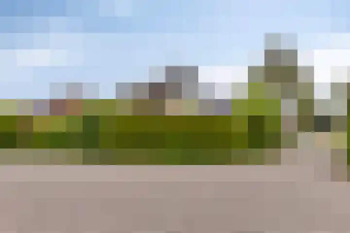De Wilgen 10 Bedum thumbnail 5