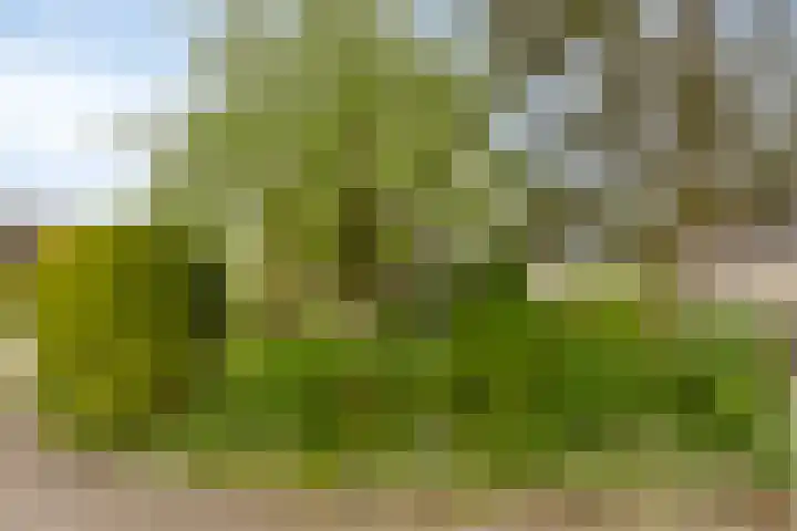 De Wilgen 10 Bedum thumbnail 6