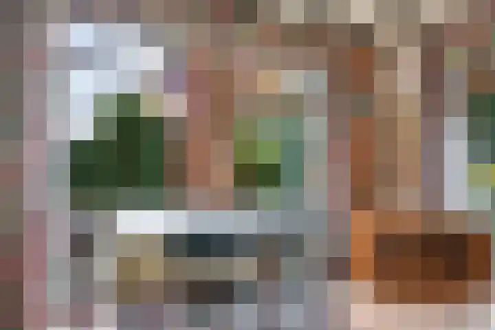 De Wilgen 12 Braamt thumbnail 11