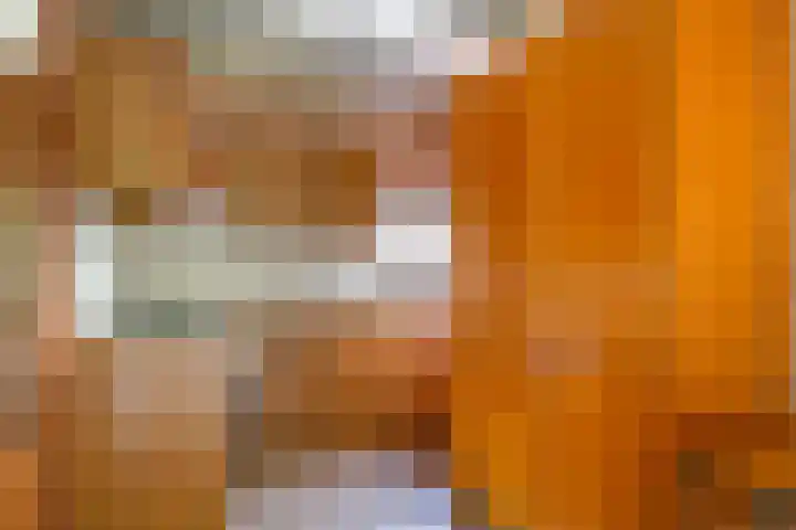De Wilgen 12 Braamt thumbnail 15