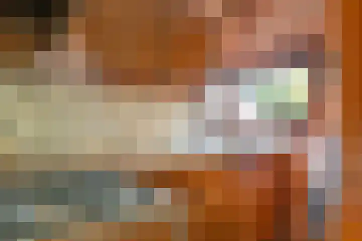 De Wilgen 12 Braamt thumbnail 16