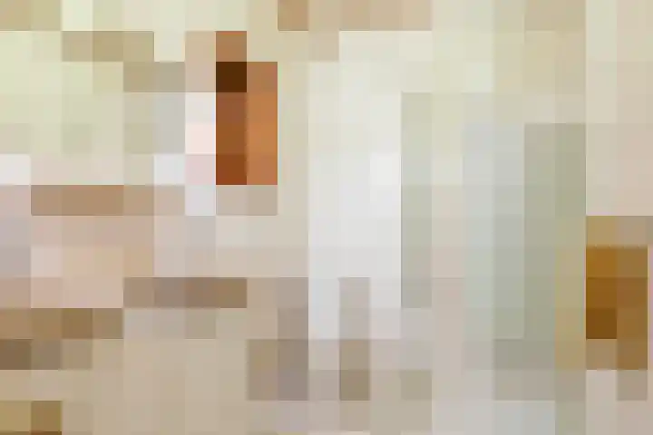 De Wilgen 12 Braamt thumbnail 20