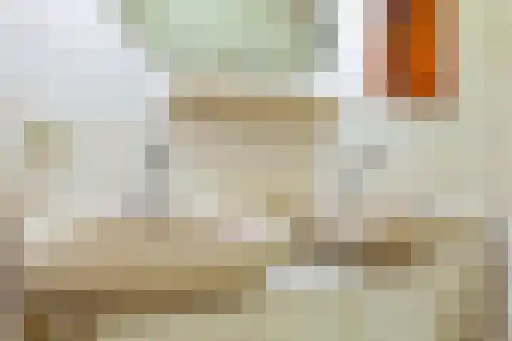 De Wilgen 12 Braamt thumbnail 21