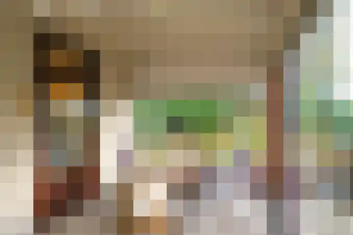 De Wilgen 12 Braamt thumbnail 35