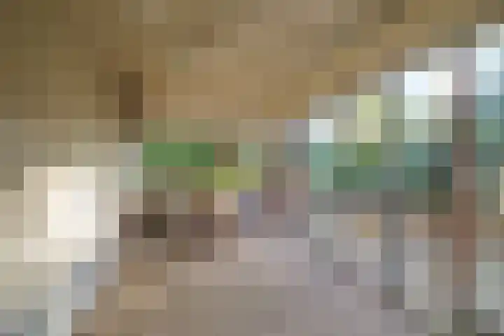 De Wilgen 12 Braamt thumbnail 36