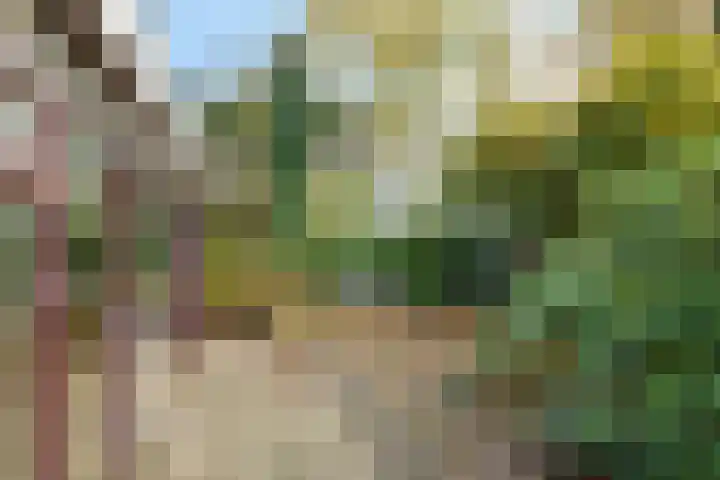 De Wilgen 12 Braamt thumbnail 40