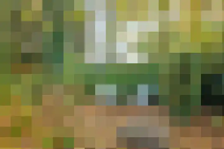 De Wilgen 12 Braamt thumbnail 41