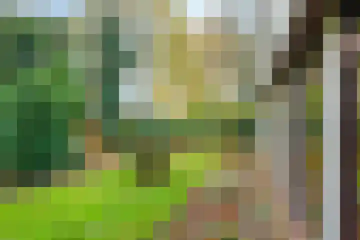 De Wilgen 12 Braamt thumbnail 42