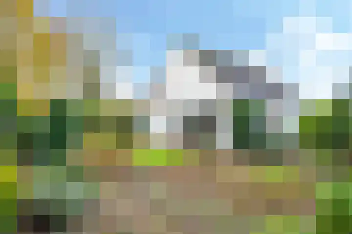 De Wilgen 12 Braamt thumbnail 43