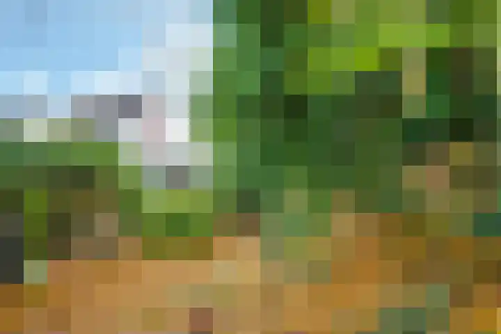 De Wilgen 12 Braamt thumbnail 45