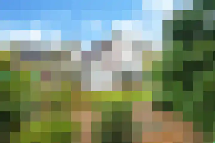 De Wilgen 12 Braamt thumbnail 46