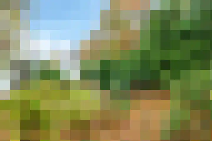 De Wilgen 12 Braamt thumbnail 47