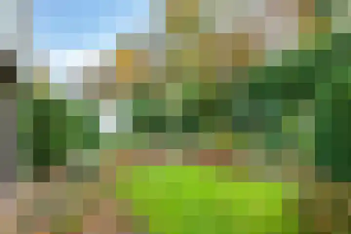 De Wilgen 12 Braamt thumbnail 48