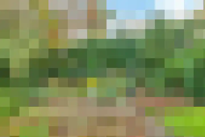 De Wilgen 12 Braamt thumbnail 49