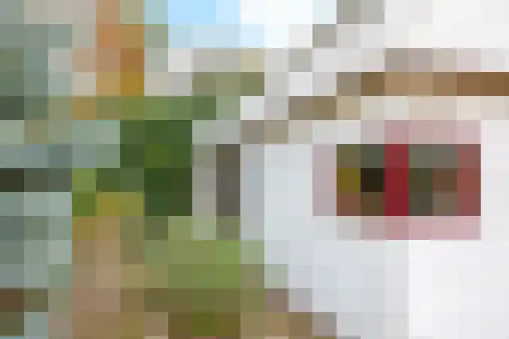 De Wilgen 12 Braamt thumbnail 50