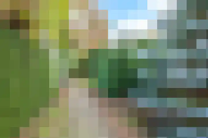 De Wilgen 12 Braamt thumbnail 51