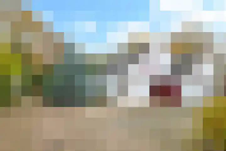 De Wilgen 12 Braamt thumbnail 52
