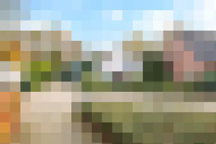 De Wilgen 12 Braamt thumbnail 53