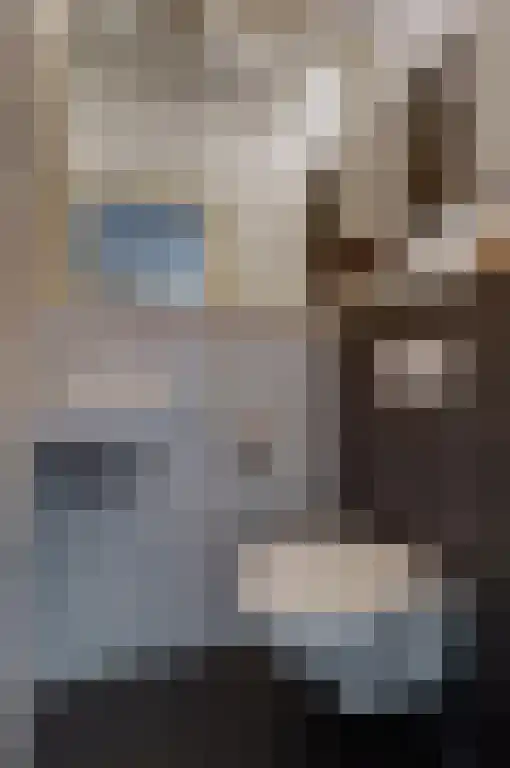 De Wilgen 17 Bedum thumbnail 10