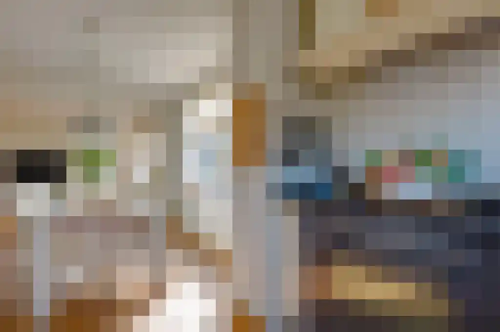 De Wilgen 17 Bedum thumbnail 14