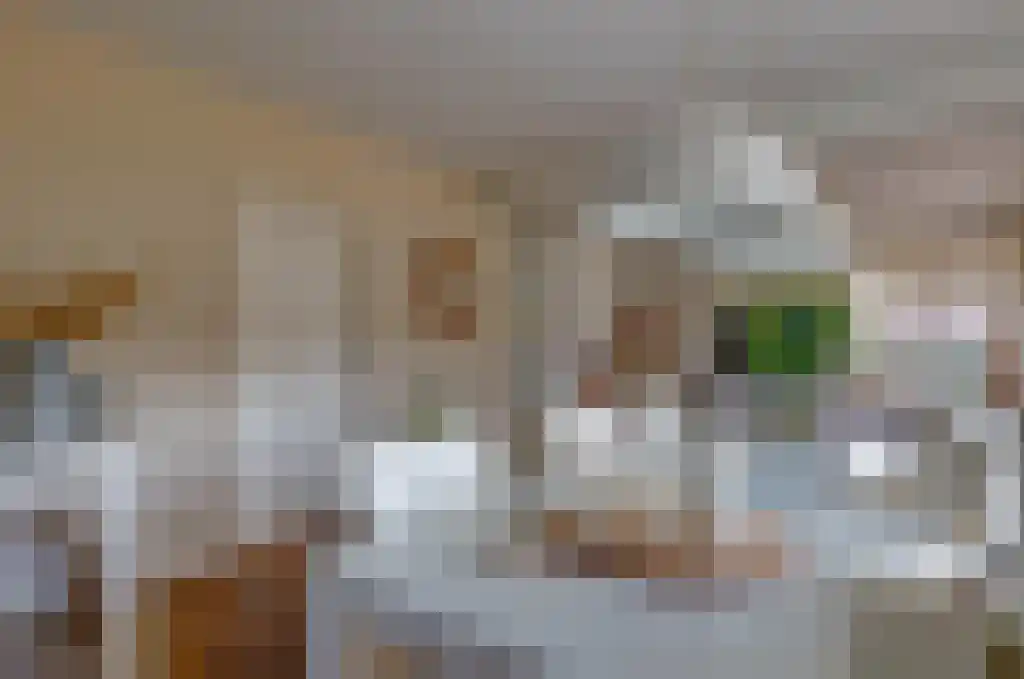De Wilgen 17 Bedum thumbnail 15