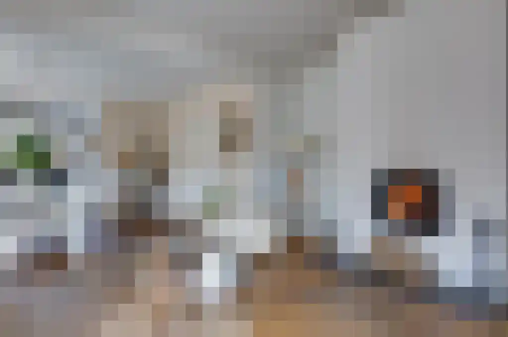 De Wilgen 17 Bedum thumbnail 17