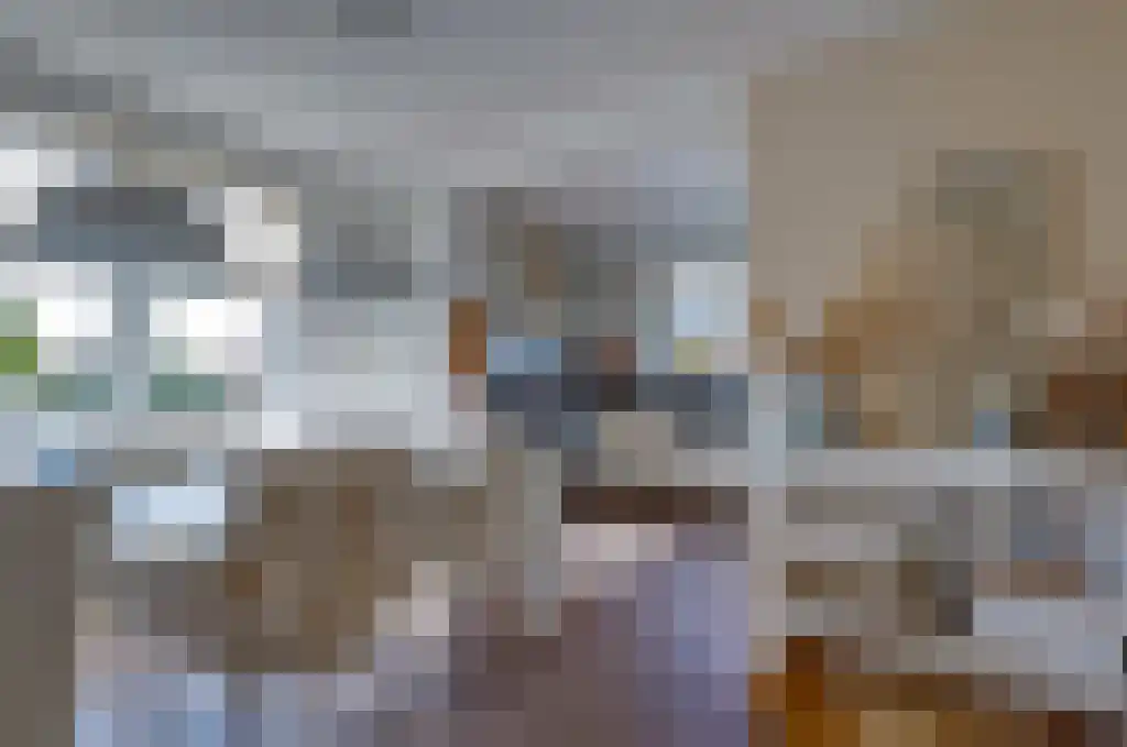 De Wilgen 17 Bedum thumbnail 18