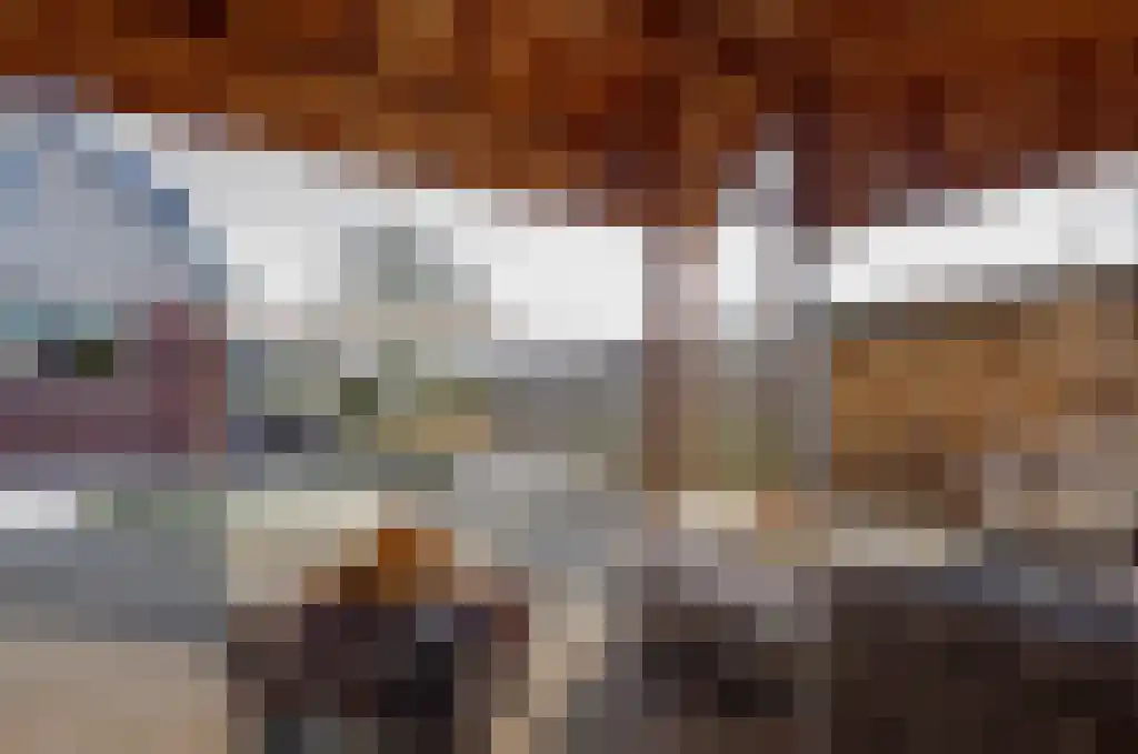 De Wilgen 17 Bedum thumbnail 24