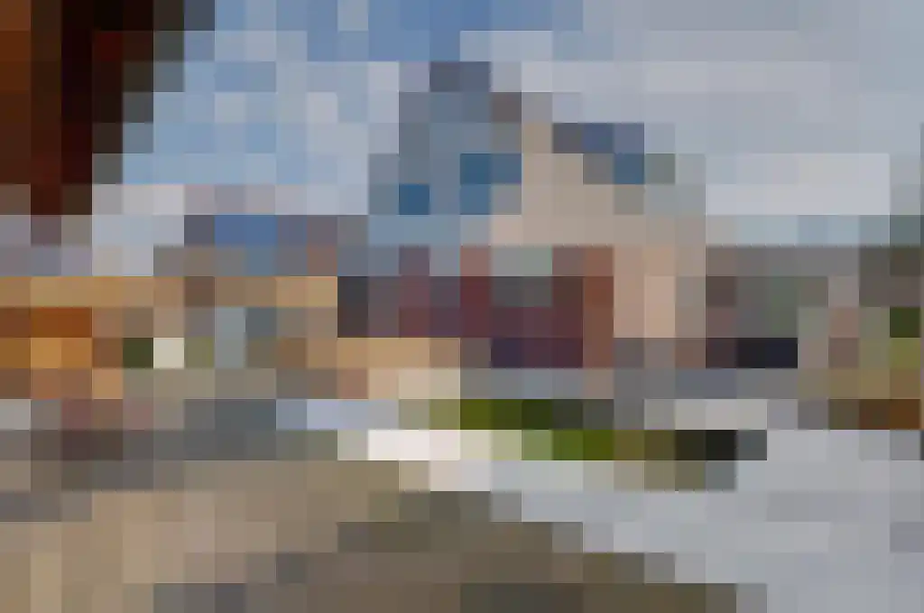De Wilgen 17 Bedum thumbnail 28
