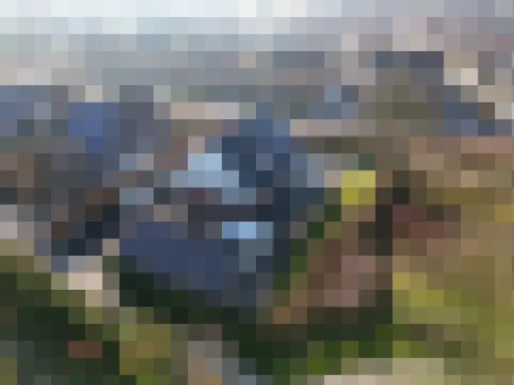 De Wilgen 17 Bedum thumbnail 4
