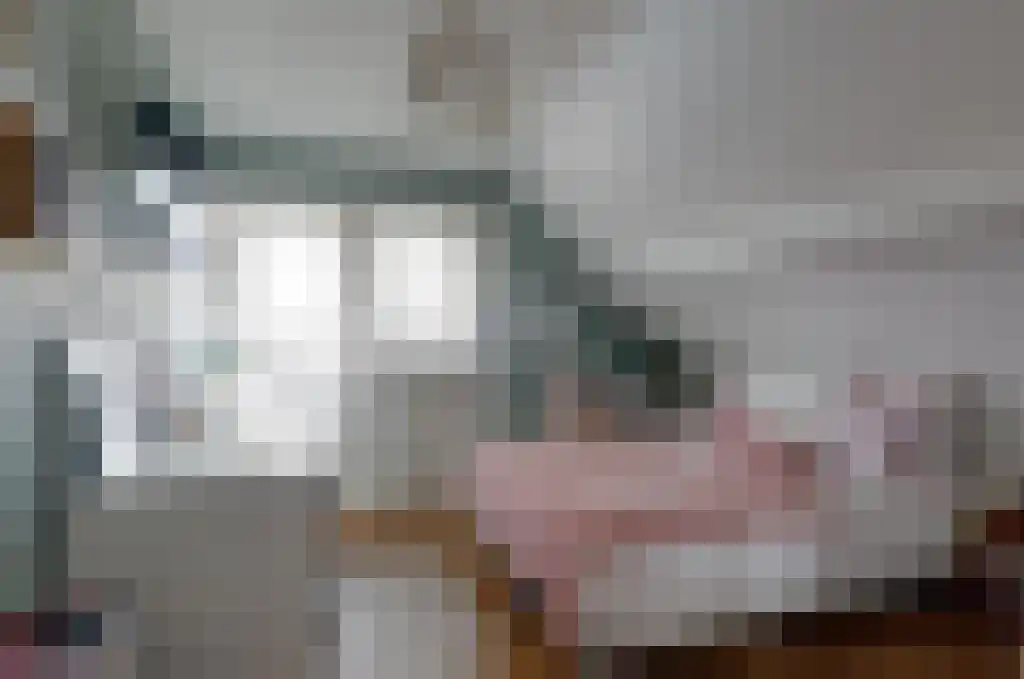 De Wilgen 17 Bedum thumbnail 40