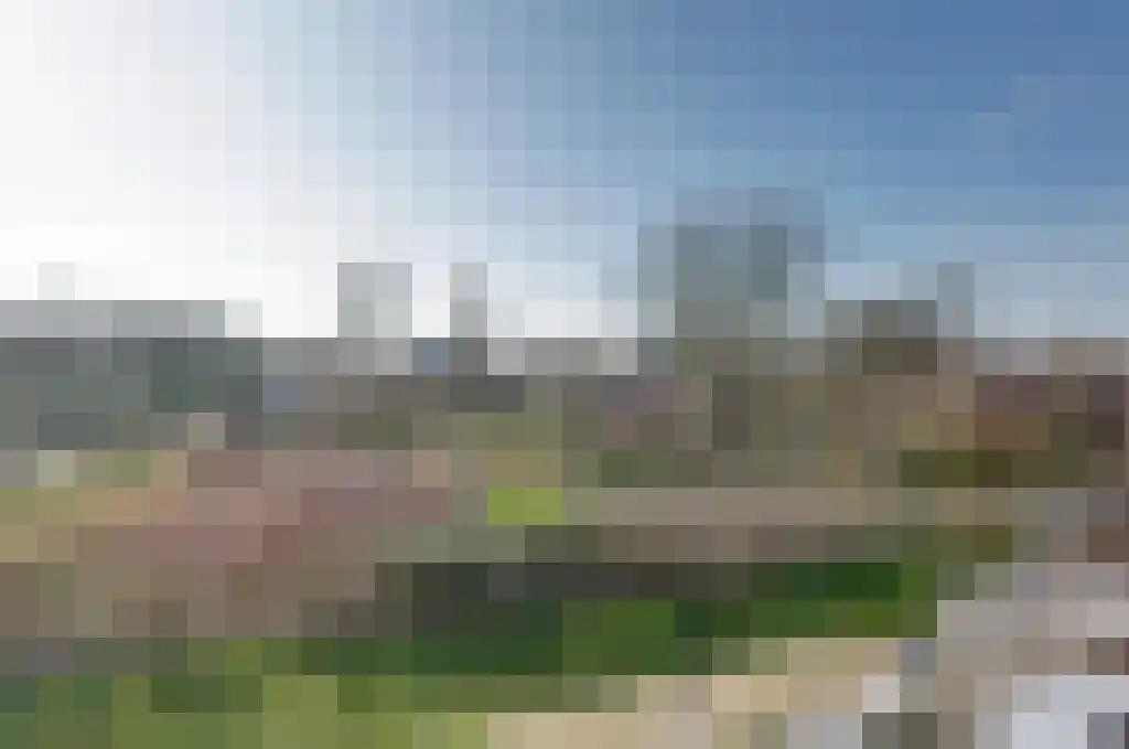 De Wilgen 17 Bedum thumbnail 48