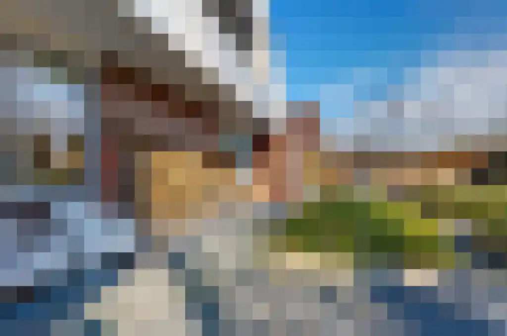 De Wilgen 17 Bedum thumbnail 49
