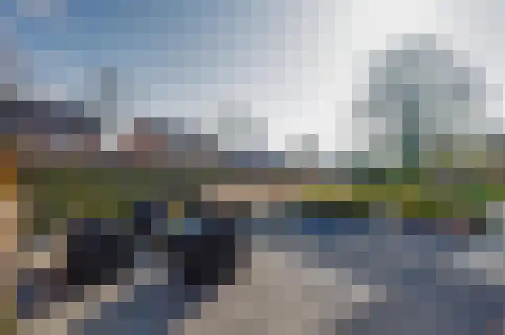 De Wilgen 17 Bedum thumbnail 50