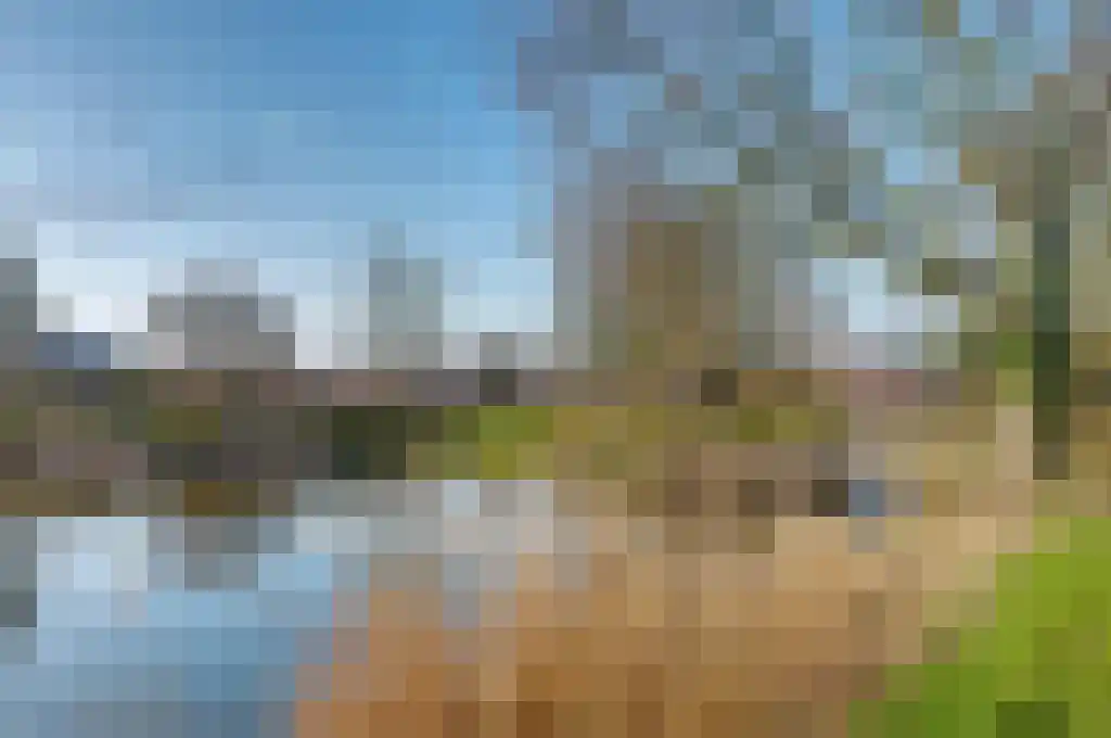 De Wilgen 17 Bedum thumbnail 53